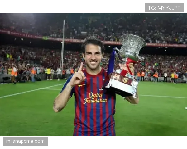 法布雷加斯与哈维：组织核心分化，球权集中度更前置